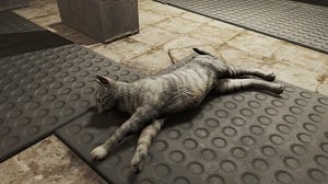 cat-fallout-76-enemy-wiki-guide