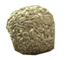 brain_fungus